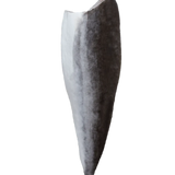 Young@Heart Sustainable Omega 3 Cobia Fillet 　奧米加3海鱺魚魚柳 (1.6-1.7kg)
