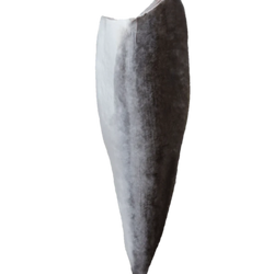Young@Heart Sustainable Omega 3 Cobia Fillet 　奧米加3海鱺魚魚柳 (1.6-1.7kg)