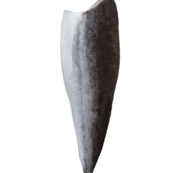 Young@Heart Sustainable Omega 3 Cobia Fillet 　奧米加3海鱺魚魚柳 (1.6-1.7kg)