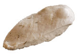 Saga Chicken Breast 佐賀雞胸 300g